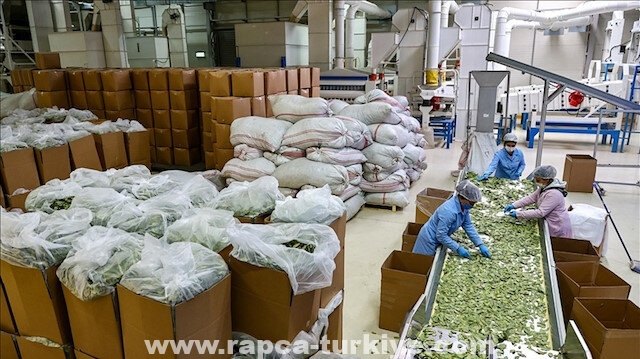 1.7 مليار دولار.. صادرات تركيا من الورق ومنتجات الغابات