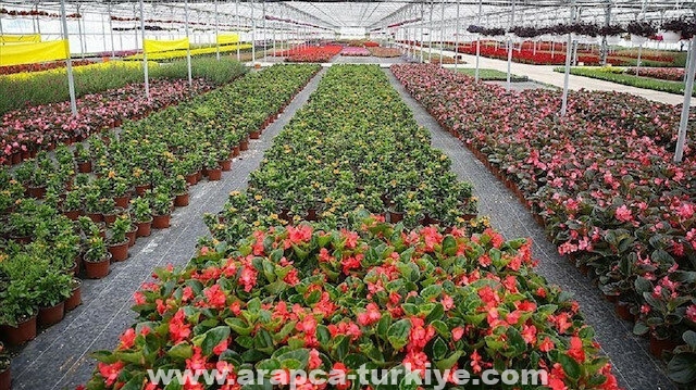 تركيا.. إعفاء باعة الورود من حظر التجول في "عيد الحب"