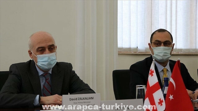 مسؤول تركي يبحث مع وزير الخارجية الجورجي التعاون الاستراتيجي