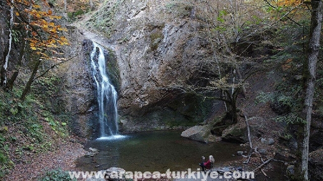 غابات قرابوك.. خزّان الأوكسجين في تركيا