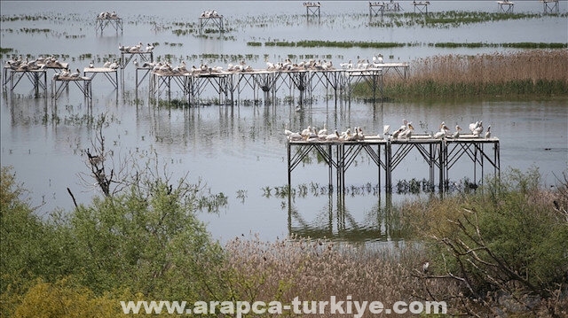 "جنة طيور باليكسير".. منتزه وطني ومحمية طبيعية تركية
