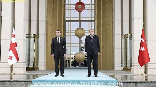 جاريباشفيلي يثمن دعم تركيا لسيادة جورجيا