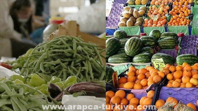 قطاع الزراعة التركي يحقق أعلى مستوى صادرات في تاريخه