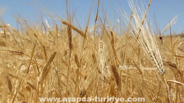 منتجات مزارع تركيا تصل إلى 205 دول