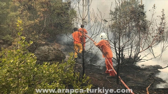 قبرص التركية تعلن تضامنها مع تركيا إثر حرائق الغابات