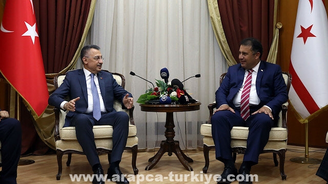 نائب أردوغان: نعمل على بناء قبرص التركية القوية