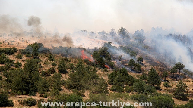 إخماد حريق بولاية "أوشاق" غربي تركيا