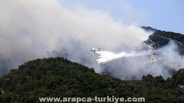 فرق الإطفاء التركية تواصل جهودها لإخماد حريق "جبال قاز"