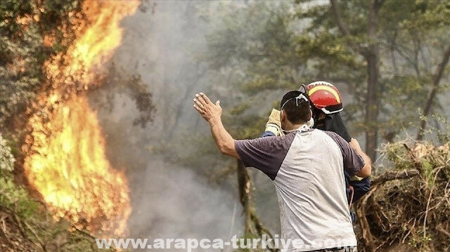 الكويت ترسل فريقا لإخماد حرائق الغابات في تركيا
