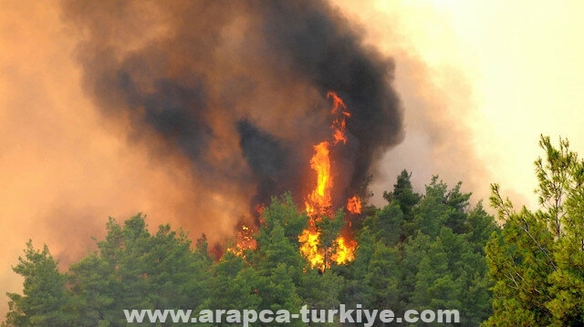 تركيا.. اندلاع حريق في "دالامان" بولاية موغلا