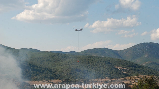 تركيا.. السيطرة على حرائق غابات في جناق قلعة