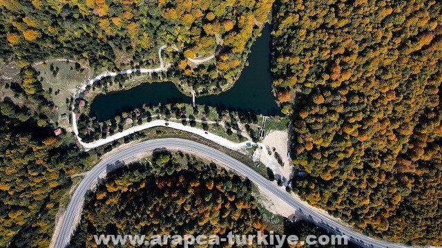 ألوان الخريف تكسو غابات دومانيتش غربي تركيا