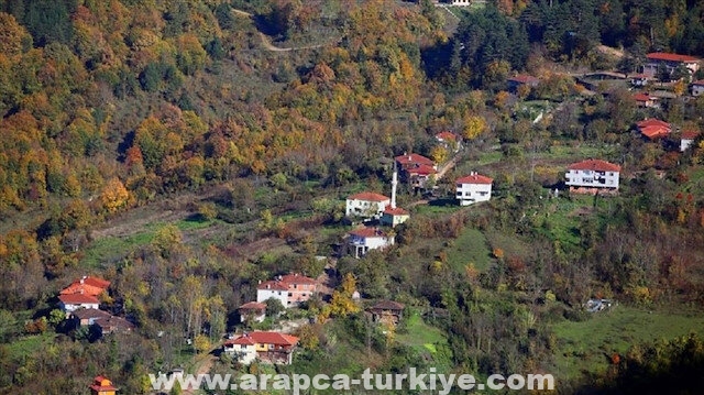 تركيا.. وادي "لوتش" يرتدي ثوب الخريف الملون
