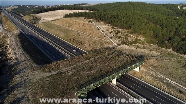 طريق إسطنبول-إزمير السريع.. إثراء الحياة البرية وحماية البيئة