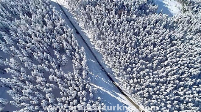 تركيا..الثلوج تغطي الغابات غربي البحر الأسود
