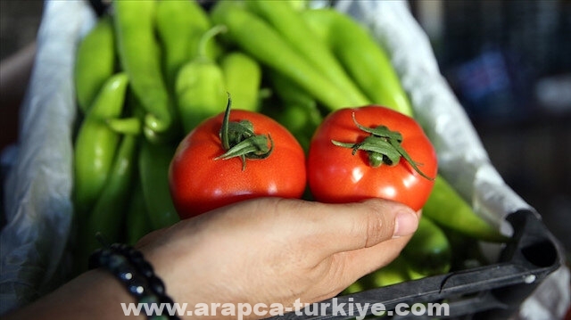 تركيا.. نمو الصادرات الغذائية إلى الولايات المتحدة 76 بالمئة