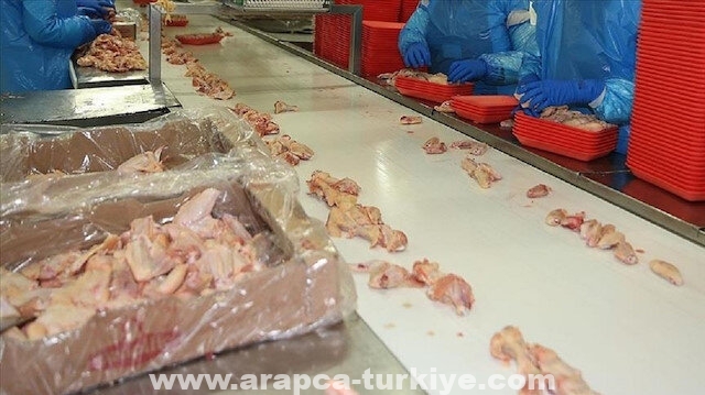 تركيا.. رقم قياسي في إنتاج لحم الدجاج
