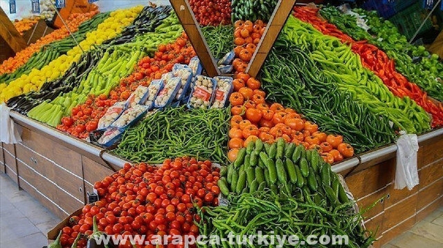 روسيا تعتزم زيادة استيراد الخضروات من 9 دول بينها تركيا