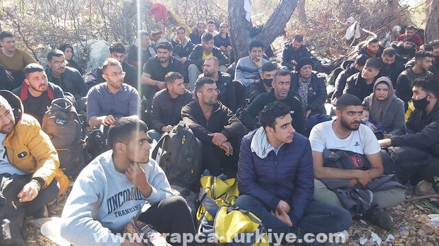 تركيا.. ضبط 89 مهاجر غير قانوني غربي البلاد