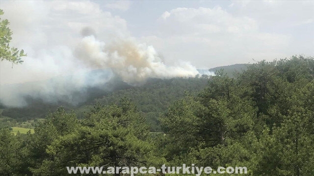 طواقم الإطفاء تواصل إخماد الحرائق في غابات موغلا التركية