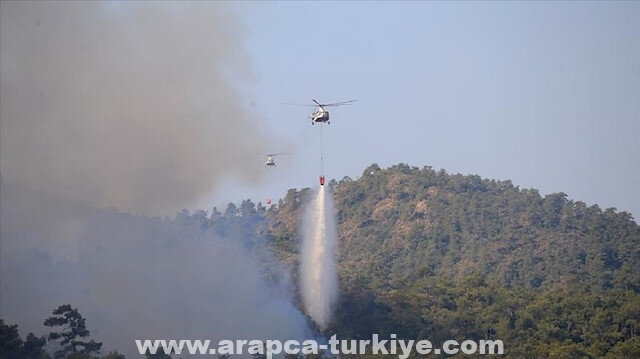 تركيا: سيطرنا إلى حد كبير على حريق غابة مرمريس