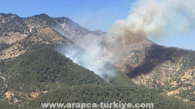 توقيف مشتبه في التحضير لحرق غابات أنطاليا التركية
