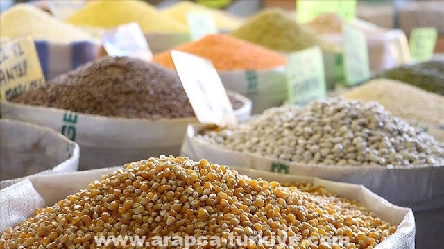 صادرات جنوب شرقي تركيا من الحبوب والبقوليات تصل 2.6 مليار دولار