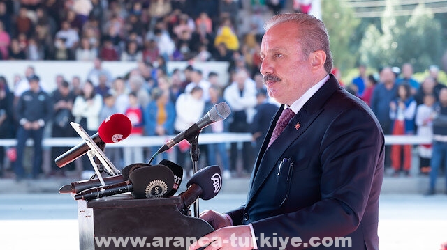 شنطوب: الاعتراف بقبرص التركية "سيتم عاجلا أو آجلا"