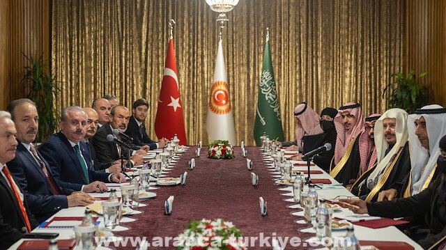 شنطوب: التنسيق التركي السعودي يعود بالفائدة على المنطقة