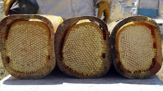 تركيا تجني 41.5 مليون دولار من صادرات العسل