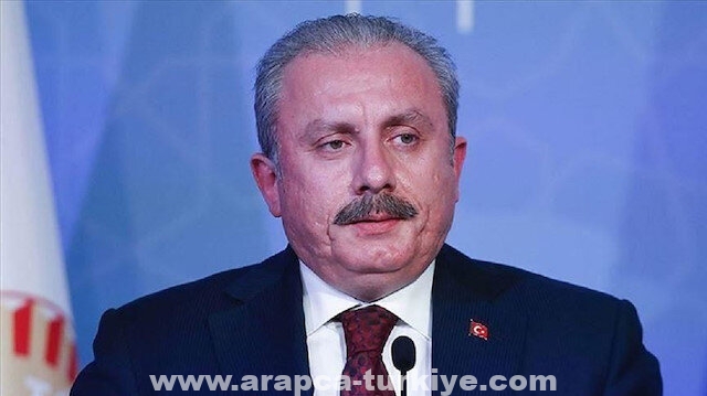 رئيس البرلمان التركي: لا ننظر إلى إفريقيا كما يفعل الغرب