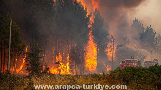 إسبانيا: إرهابيون حرقوا 11 ألف هكتار من الغابات شمالي البلاد