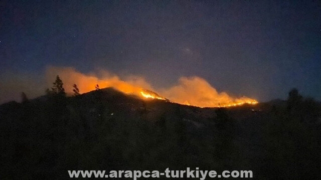 تركيا تعرض على اليونان المساعدة لإخماد حرائق الغابات