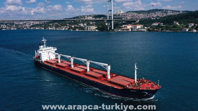 سفينة أوكرانية محملة بالحبوب ترسو في إسطنبول