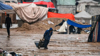 حكومة غزة: الفلسطينيون بشمالي القطاع لا يجدون حتى الأعلاف للأكل