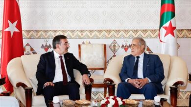 نائب الرئيس التركي يصل الجزائر في زيارة رسمية