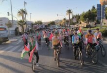 شانلي أورفا التركية.. مسيرة درجات هوائية دعما لفلسطين